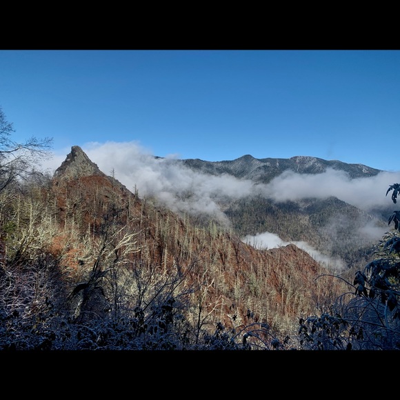 Meet your Posher, Taylor - Picture 1 of 1